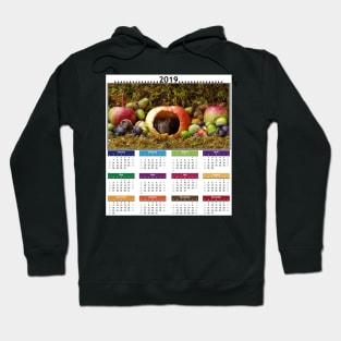 cute mouse 2019 Calendar Hoodie